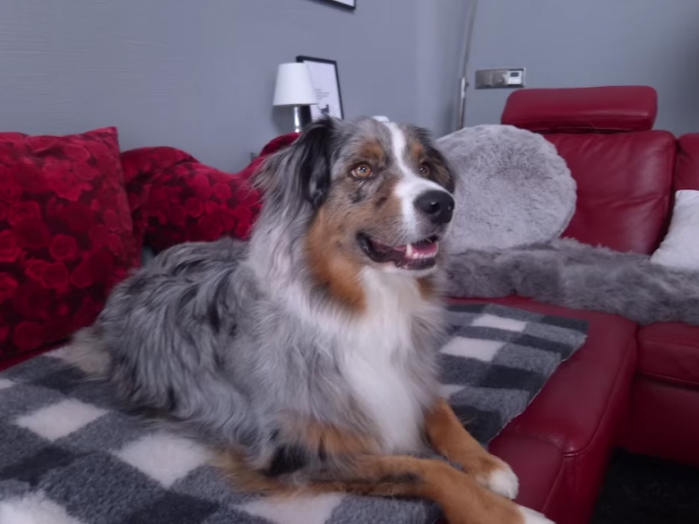 Captain auf der Couch